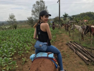 Horseback riding through tobacco fields